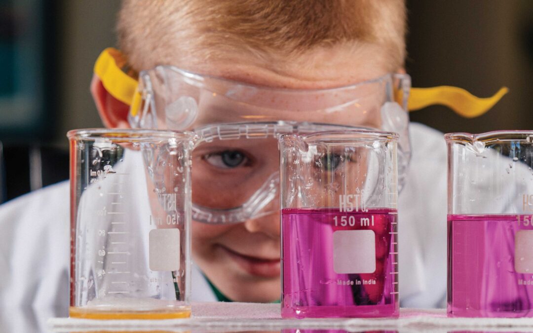 Designing a Science Fair Project