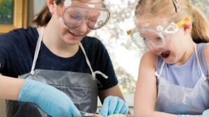 science projects for middle school students