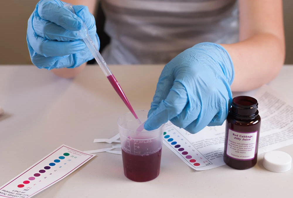 From Cheese to Candy: 5 Kitchen Science Kits for Curious Minds