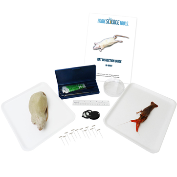 Complete-Lab-Solution