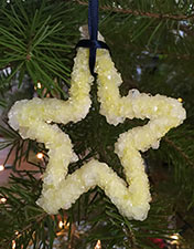 crystal growing science - sparkly ornament
