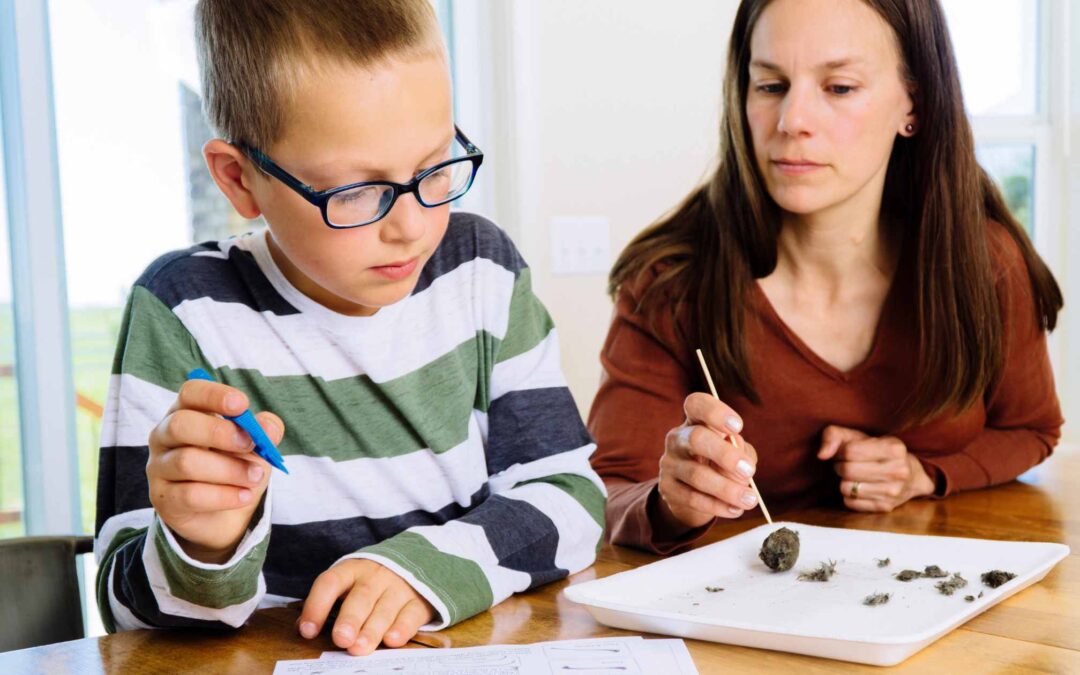 Teaching Science at Home