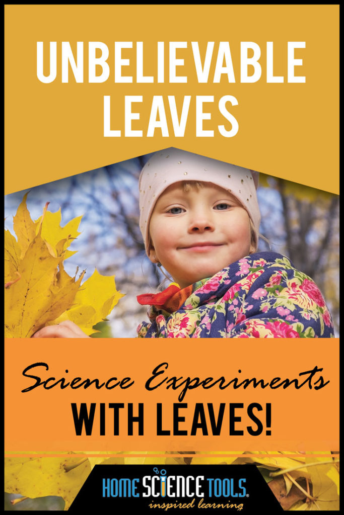 science lesson with leaves