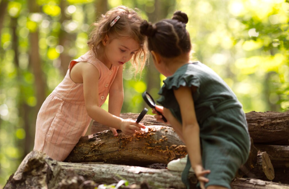 Making Science Fun with Outdoor Toys for Kids