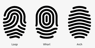 Fingerprint types