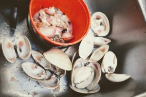 cool summer projects with clams