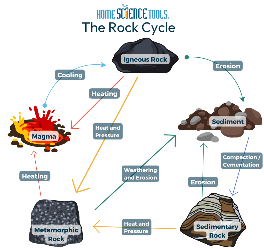 igneous sedimentary and metamorphic rocks diagram