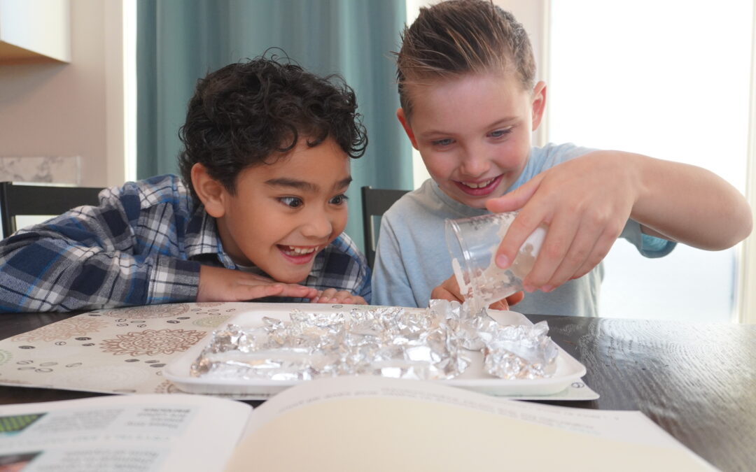 Complete Homeschool Science Curriculum: How Science Unlocked Compares