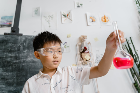 How Vision Works: Eye Science Projects & Experiments | HST