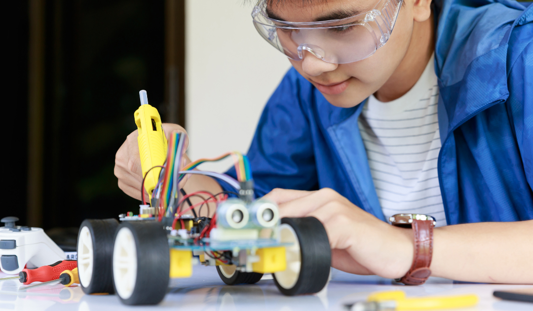 Stem Education Examples