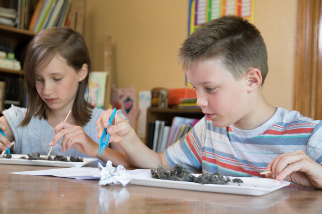 science fair science kits