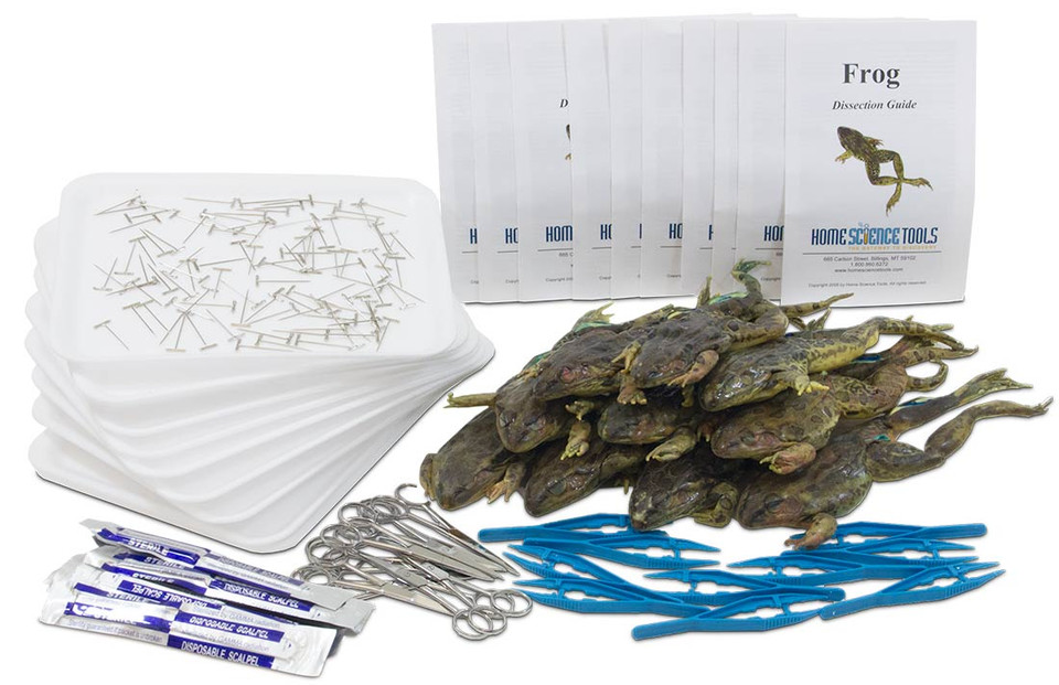 Classroom Frog Dissection Kit