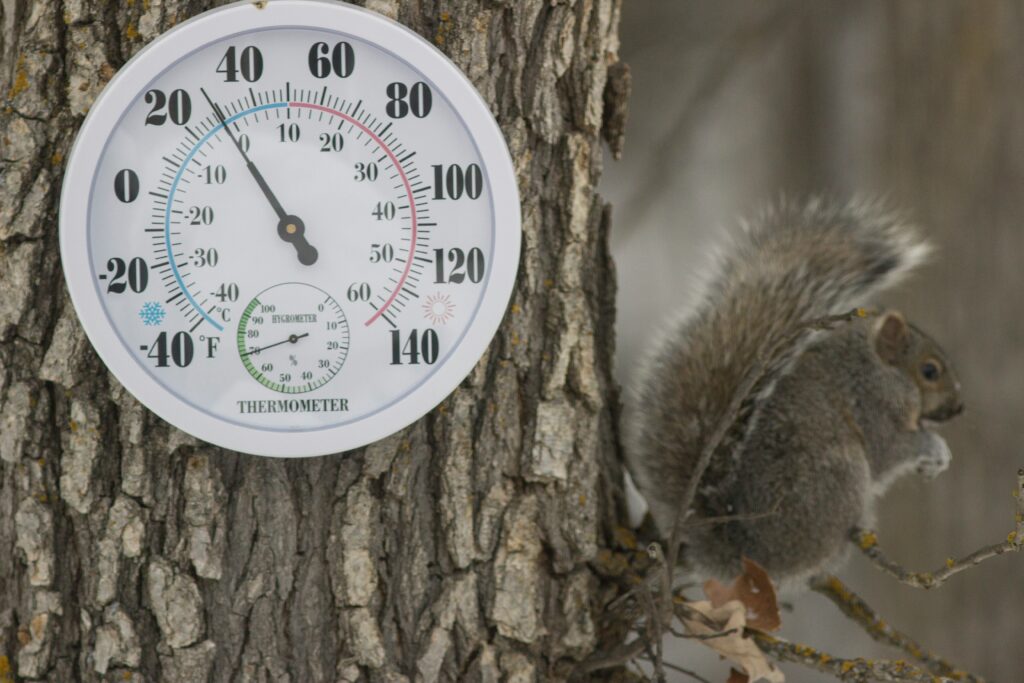 DIY thermometer experiment