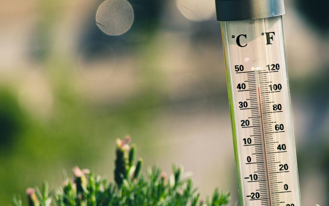 DIY Thermometer Experiment: How Temperature Changes Matter 