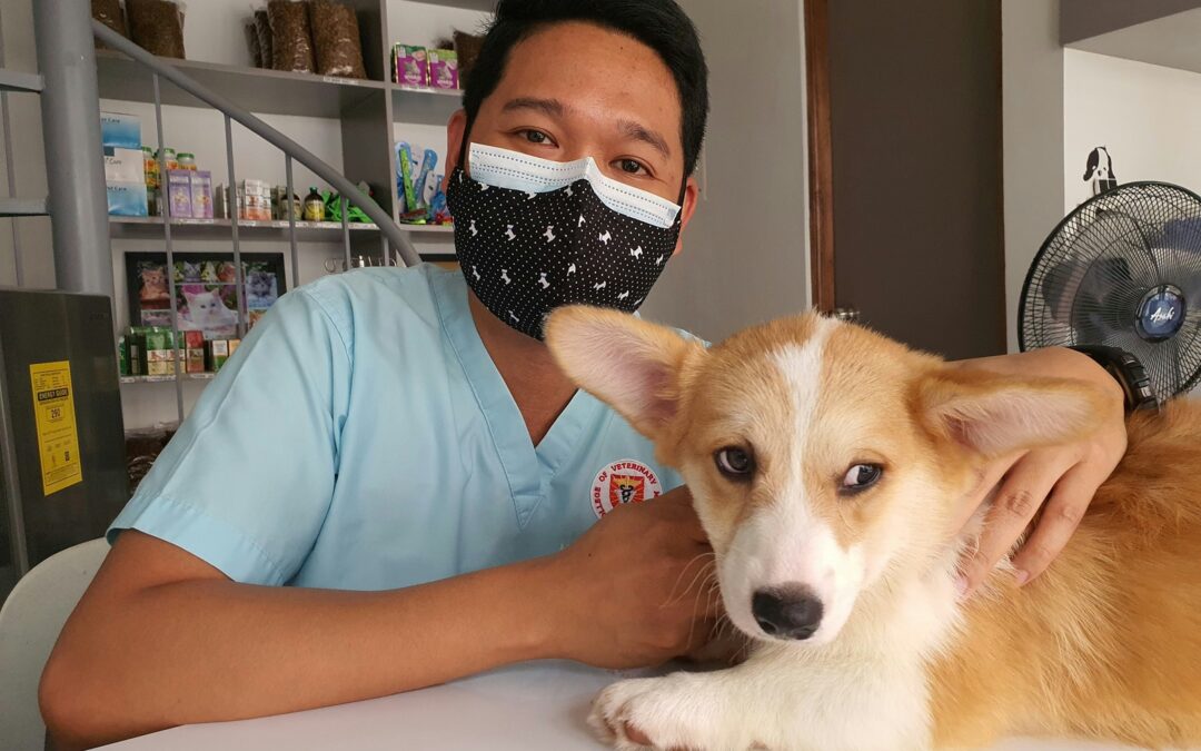 So, You Want to Be a Vet? A Look Inside Veterinary Science 