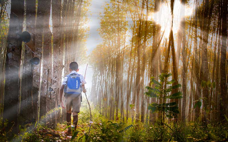 How to Plan a Summer Science Camp