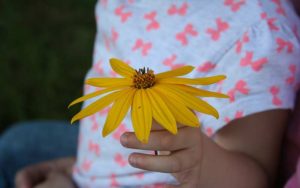 summer science projects