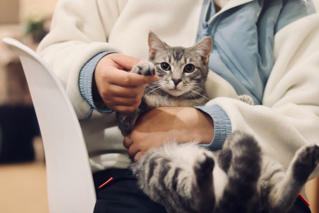 veterinary science